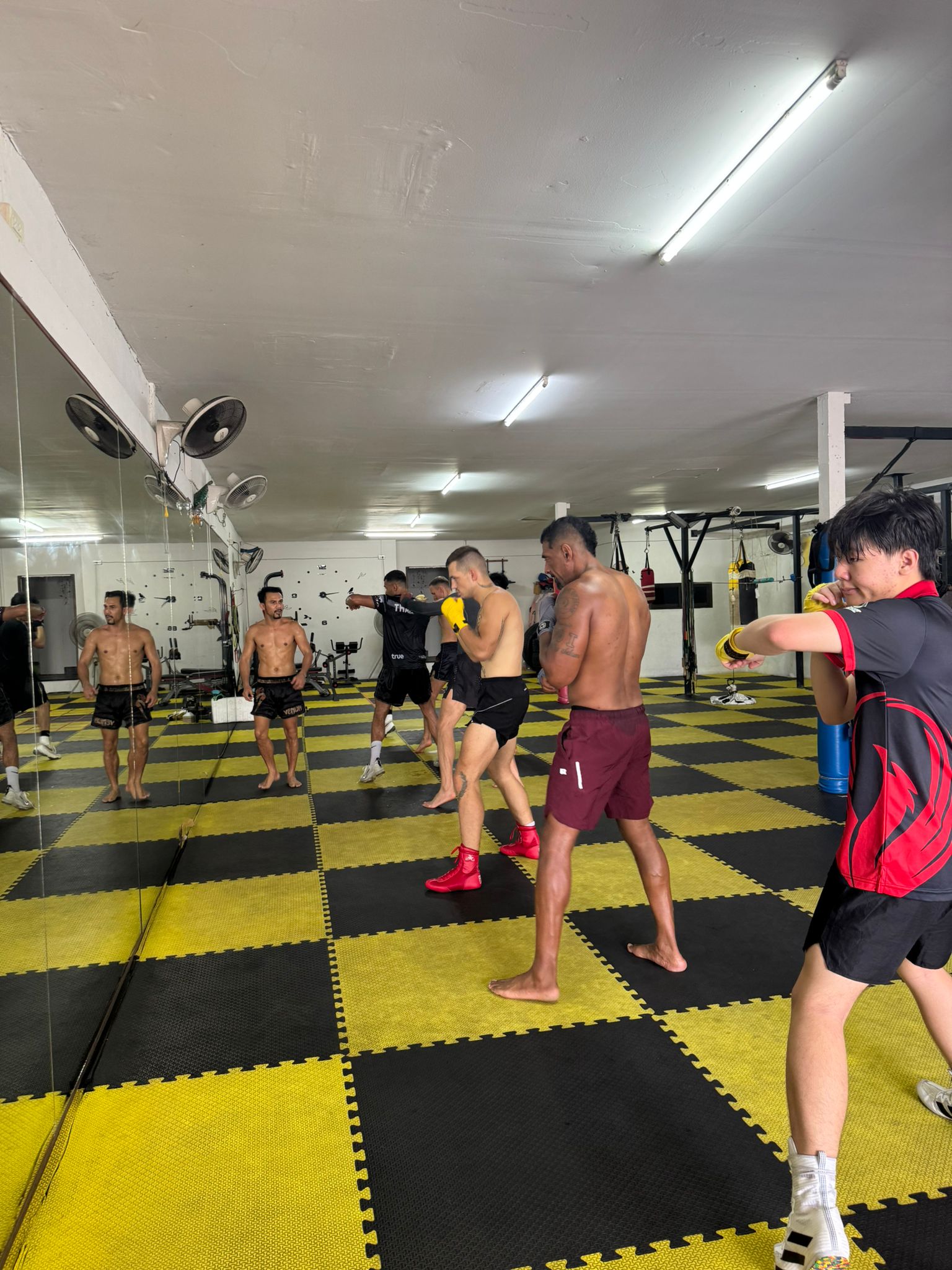 Oleydong Gym Training Background