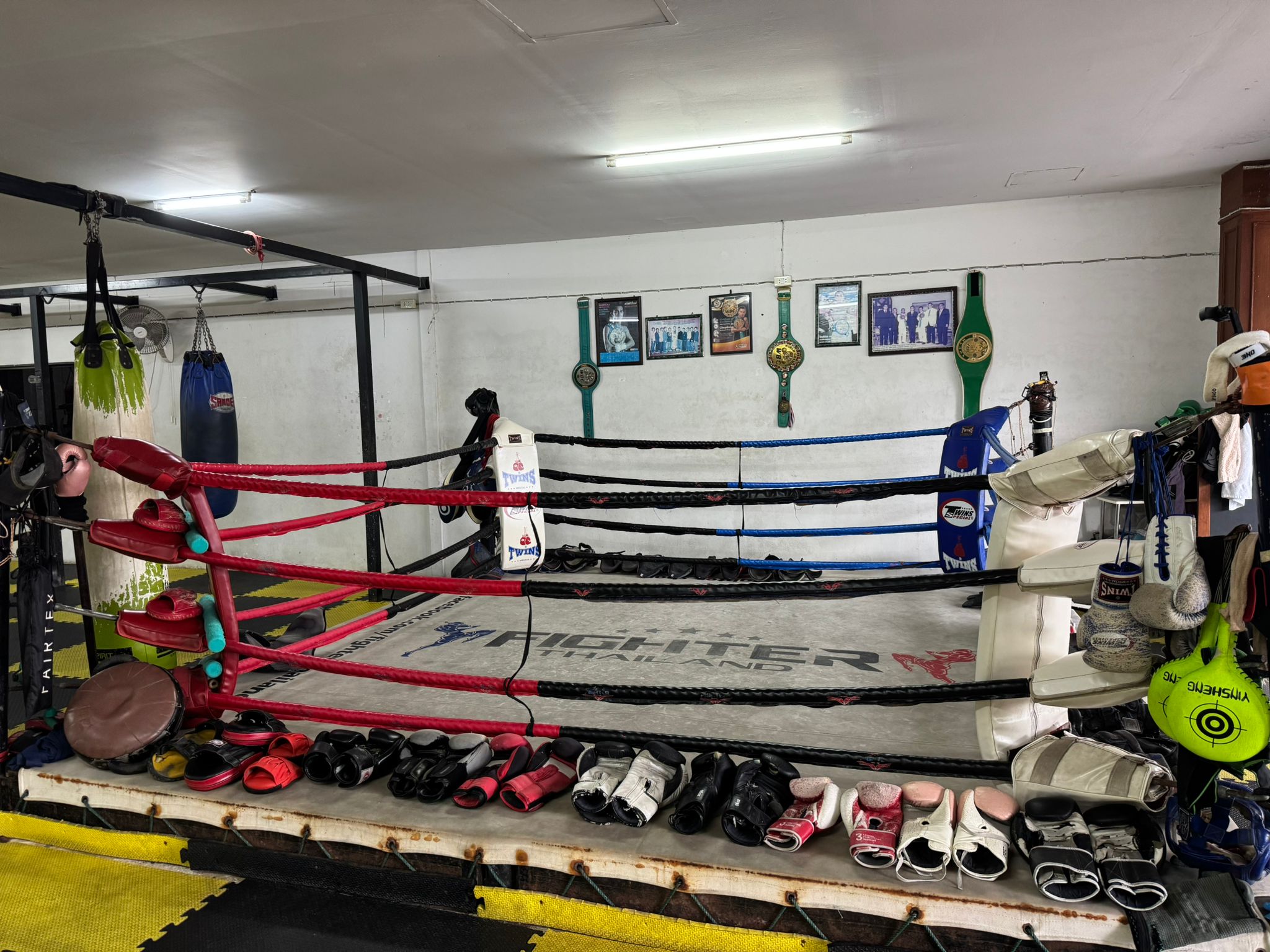 Gym ring and equipment